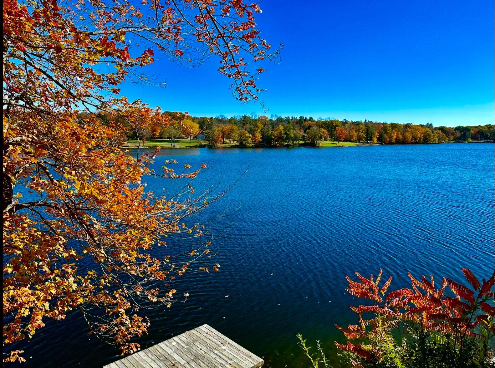 Lake Huntington in October, red and gold foliage framing the water from the property's shoreline.